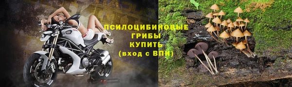 PSILOCYBIN Алексин