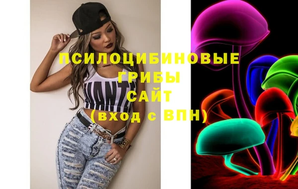 мдпв Алзамай