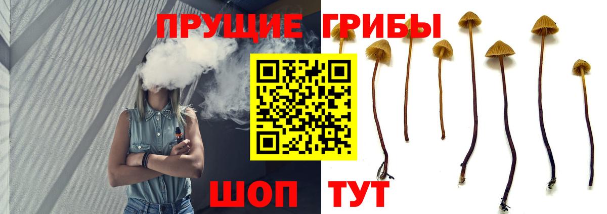 Псилоцибиновые грибы MAGIC MUSHROOMS Урай